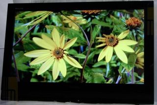Toshiba 32HL67U 32 720p Widescreen HDTV LCD Television   328322