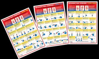 INFLATABLE BALL EXERCISES Fitness Chart 3 Poster Set