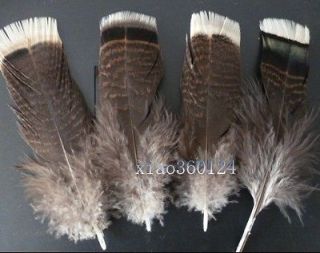 15PCS the precious wild turkey tail feathers 4 6 inches/10 15 cm