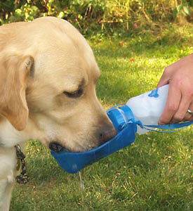 Portable Pet Water Bottle and Drinking Trough Pet Accessory