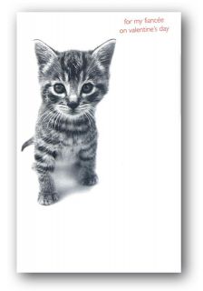     99p for 1 x Cute Kitten Valentines Day Card   Fiancee (Ref 647
