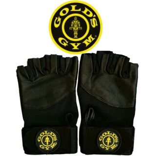 golds gym gloves in Clothing, 