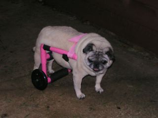 dog wheelchair in Dog Supplies