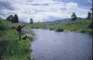 Guided Fly Fishing Trip   half day   up to 2 anglers