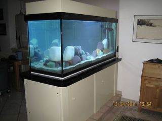 Aquarium stands in Aquariums