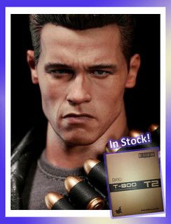   Toys DX10 Terminator 2 T2 Judgment Day T 800 T800 ARNOLD DX 10 Figure