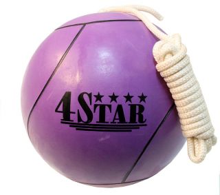 New Purple Colors Tether Balls for Play Grounds & Picnics Included 