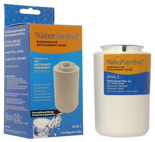 WSG 1 Water Filter Replacement for GE MWF GERF100 GWF by Water 