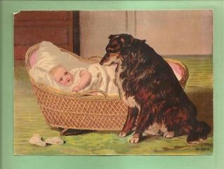 BORDER COLLIE DOG WATCHES BABY On Beautiful Authentic VICTORIAN ERA 