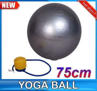   Silver Yoga Ball Balancing Stability Fitness Exercise Ball With Pump