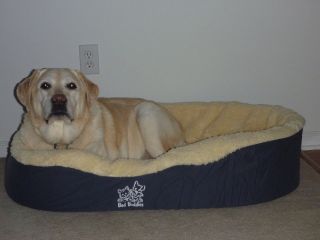 extra large dog bed in Beds