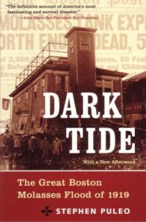 Dark Tide The Great Boston Molasses Flood of 1919 by Stephen Puleo 