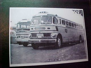 Photo Safeway Trailways ACF Brill Bus #S 517 & Trwys New England GM 