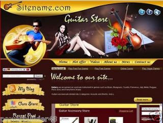 Profitable Guitar Store Blog Business Website For Sale