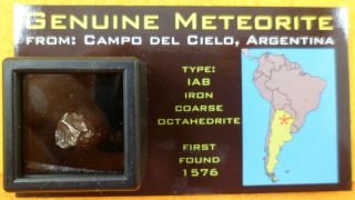 Campo del Cielo Argentina Iron CARD Fragment, by Meteorite Mens 