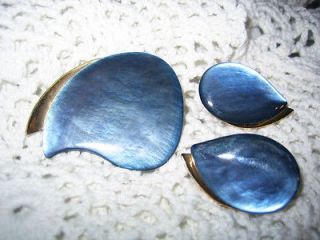 Vintage Ges.Gesch Mother Of Pearl Brooch Earrings Blue