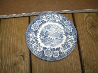Royal Warwick decorative plate