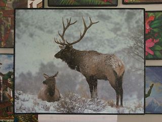 Newly listed Bull and cow Elk  16x20   wood frame   mounted poster