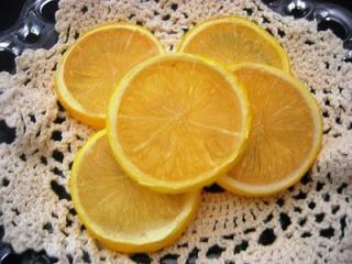Lemon Slices Faux Fake Replica Food Prop Home Staging Very Realistic
