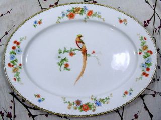   Czech Platter MZ Altrohlau Vintage Porcelain Bird/Birds Flowers