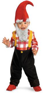 Toddler Size 2T Garden Gnome Toddler Costume   Toddler Costumes