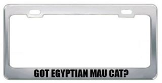 GOT EGYPTIAN MAU CAT? ANIMALS PETS LICENSE PLATE FRAME TAG HOLDER