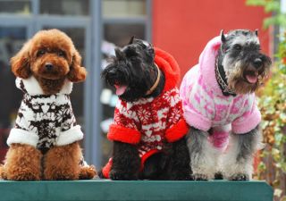 NEW Pet Clothes 3 Color Reindeer Snowflake Dog Coat Four legged Dog 