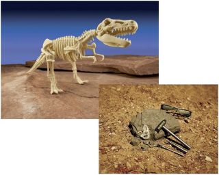ULTIMATE DINO DIGS   T REX 2012 Dinosaur Excavation Tyrannosaurus 