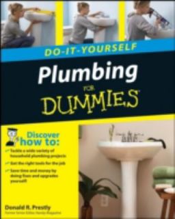   Do It Yourself for Dummies by Donald R. Prestly 2007, Paperback