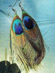 Boho Style Large Peacock Eye Feather Dangle Earrings