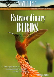 Nature Extraordinary Birds DVD, 2011, 6 Disc Set