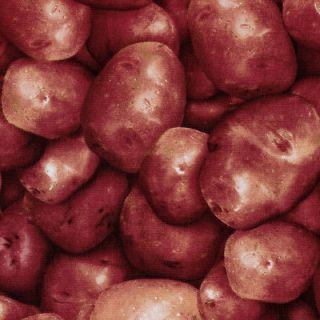 Red Skin Potatoes Farmers Market 2011 Fabric Fat Quarter