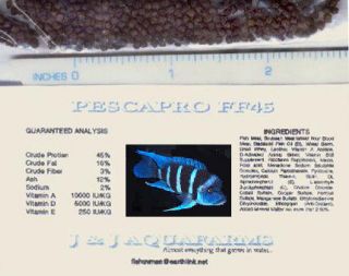 discus fish food in Fish Food