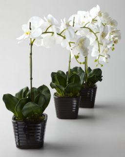 Three Faux Orchids   The Horchow Collection