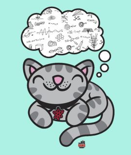   Soft Kitty Dreams of Equations Babydoll