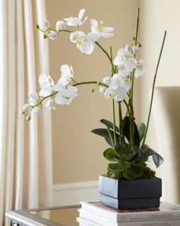 John richard Collection White Orchid in Black Planter Faux Floral 