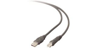 Belkin USB 2.0 Printer Cable (10 Feet)   Buy from Microsoft Store 