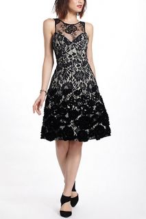 Flocked Botany Dress   Anthropologie