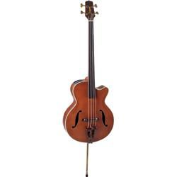 Takamine TB10 Acoustic Electric Upright Bass (TB10)
