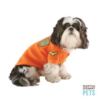    Dog Martha Stewart Pets Martha Stewart Pets™ Orange 