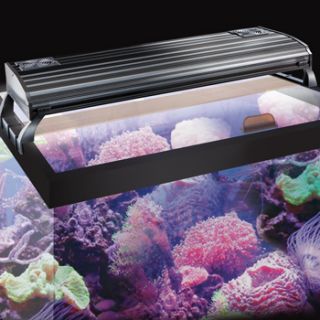 Coralife Lunar Aqualight Quad T5 HO Aquarium Light Fixture   Fish Tank 