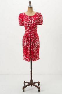 Ruched Dragonfly Dress   Anthropologie