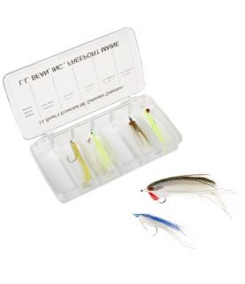 Essential Fly Selection, Northeast Saltwater Fly Collections  Free 