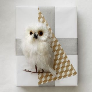 White Owl Object