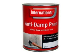International Anti Damp Paint   750ml from Homebase.co.uk 