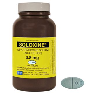 Soloxine for Dogs   Canine Hypothyroidism Treatment   1800PetMeds
