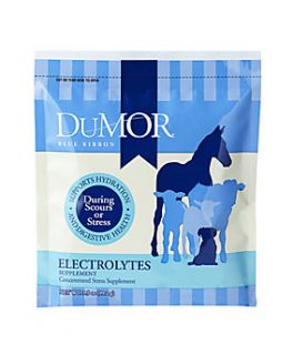 DuMOR® Blue Ribbon Electrolytes Supplement, 3.5 oz.   1018460 