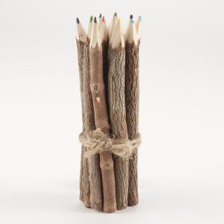 Twig Color Pencils, Set of 12  World Market