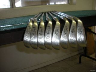 allied golf clubs in Clubs