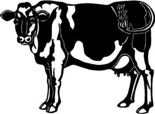 Holstein Cow Vinyl Decal Car Truck Window Sticker 11